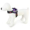 Arnes para Perros Xtreme Dog Morado Arquivet - Imagen 2