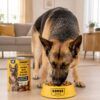 Lata de Alimento Húmedo para Perro Rokus Pollo - Imagen 3