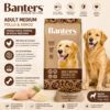Info de producto de Banters Adult Medium Chicken and Rice con imagen de perro dorado