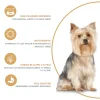Infografia de los Beneficios del Advance Pienso Para Yorkshire Terrier