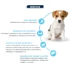 Beneficios del pienso para perros cachorros de Advance Puppy Mini