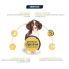 Advance Sensitive Puppy Care Pienso para Perros Cachorros Sensibles - Imagen 2