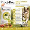 Infografía con los beneficios del Pienso para Perros de Alta Energía Proct Dog Energy 20kg