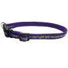 Collar Nylon para Perros Morado, Naranja o Rosa Bully - Imagen 2