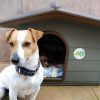 Nayeco Caseta ECO Dog para Perros 60x50x41 cm - Imagen 4