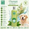 Infografía publicitaria del Champú de Árbol de Té Menforsan mostrando sus ventajas de pH neutro, fórmula concentrada y acción calmante