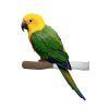 Percha para loros Grooming con Lima uñas - Imagen 4