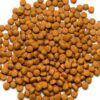 Primer plano de los pellets de alta palatabilidad del pienso Psittacus Alta Energia.