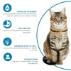 Infografía de beneficios del Pienso Advance Gatos Adultos Pollo: pH urinario, digestión, piel y pelo sanos.