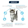 Beneficios del pienso para gatos cahorros de Advance kitten
