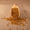 Cuchara de madera con pellets de Psittacus Minor para agapornis y ninfas.