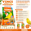 Infografía de beneficios del Alpiste para Canarios Vinci Bird para una nutrición óptima y plumaje brillante.