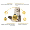 Beneficios para la salud de los gatos la comida Advance Sensitive con Salmon