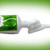 Pasta de Dientes Para Perros con Menta Arquivet - Imagen 2