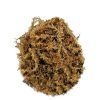 Musgo Spagnum LuckyRep 100gr - Imagen 2