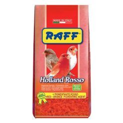 Holland Rosso Raff Pasta de Cría para Canarios