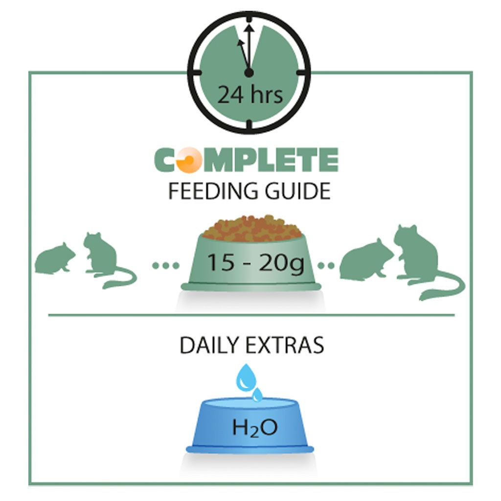 Pienso Hamster & Gerbil Mix Complete Versele Laga - Imagen 4