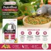 Infografía de dieta para loros con pienso Nutribird P15 Tropical, aporte de fruta fresca