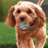 Pelota Nudo de Cuerda para Perros 6cm - Imagen 3