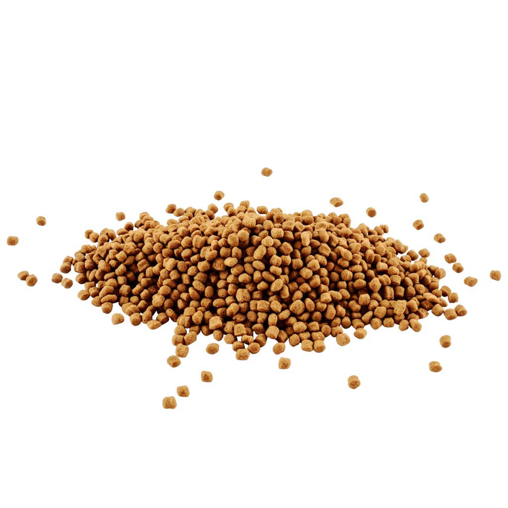 Montón de barritas flotantes de Tetra Goldfish Sticks, alimento principal para la vitalidad de los peces dorados.