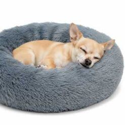 Camas para Perros