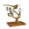 Arbol de Java para Loros - Imagen 2