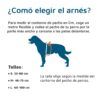 Guia para elegir arnes xtreme