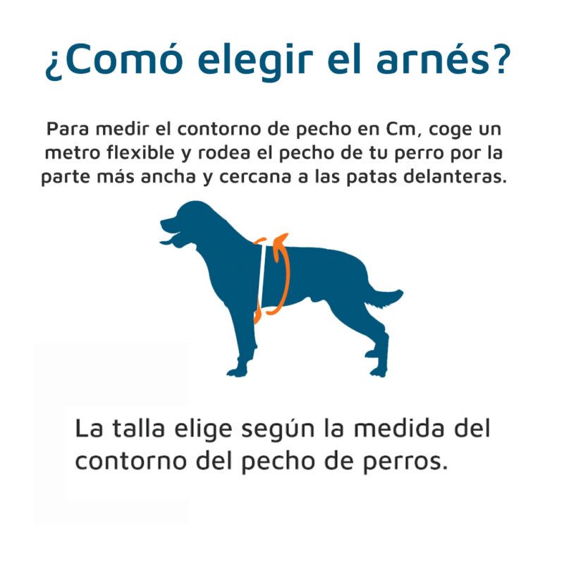 como medir contorno pecho de perro para arnes