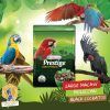 Loro Parque Ara Parrot Mix Versele laga, Comida para Loros 2kg - Imagen 2