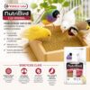 Infografía con los beneficios del nutribird c19 original