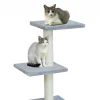 Gatos en el Nayeco Rascador Gris Amelie