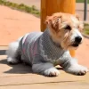 Perro vestido con Nayeco Jersey Punto Betty