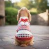 Nayeco Jersey Nube de Azúcar para Perros - Imagen 3