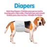 Pañales para Perros Machos Razas Medianas Arquivet - Imagen 5