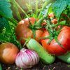 Azufre para Plantas Curico Espolvoreo Masso 1Kg - Imagen 4
