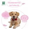 Menforsan Atrayente De Micciones Para Cachorros - Imagen 4