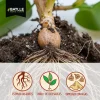 Características de Enraizante Natural para Plantas Ecologico Battle