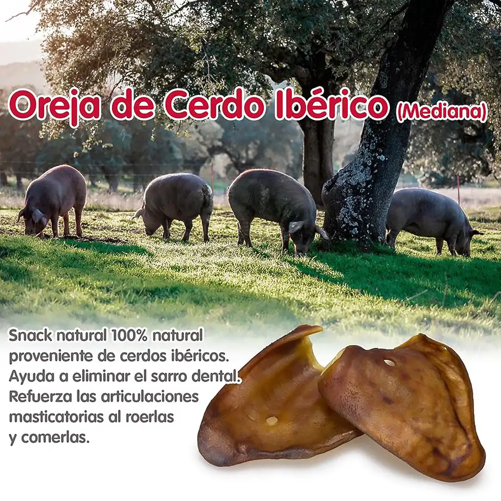 Orejas de Cerdo para Perros, Largo 30 Uds. - Imagen 2