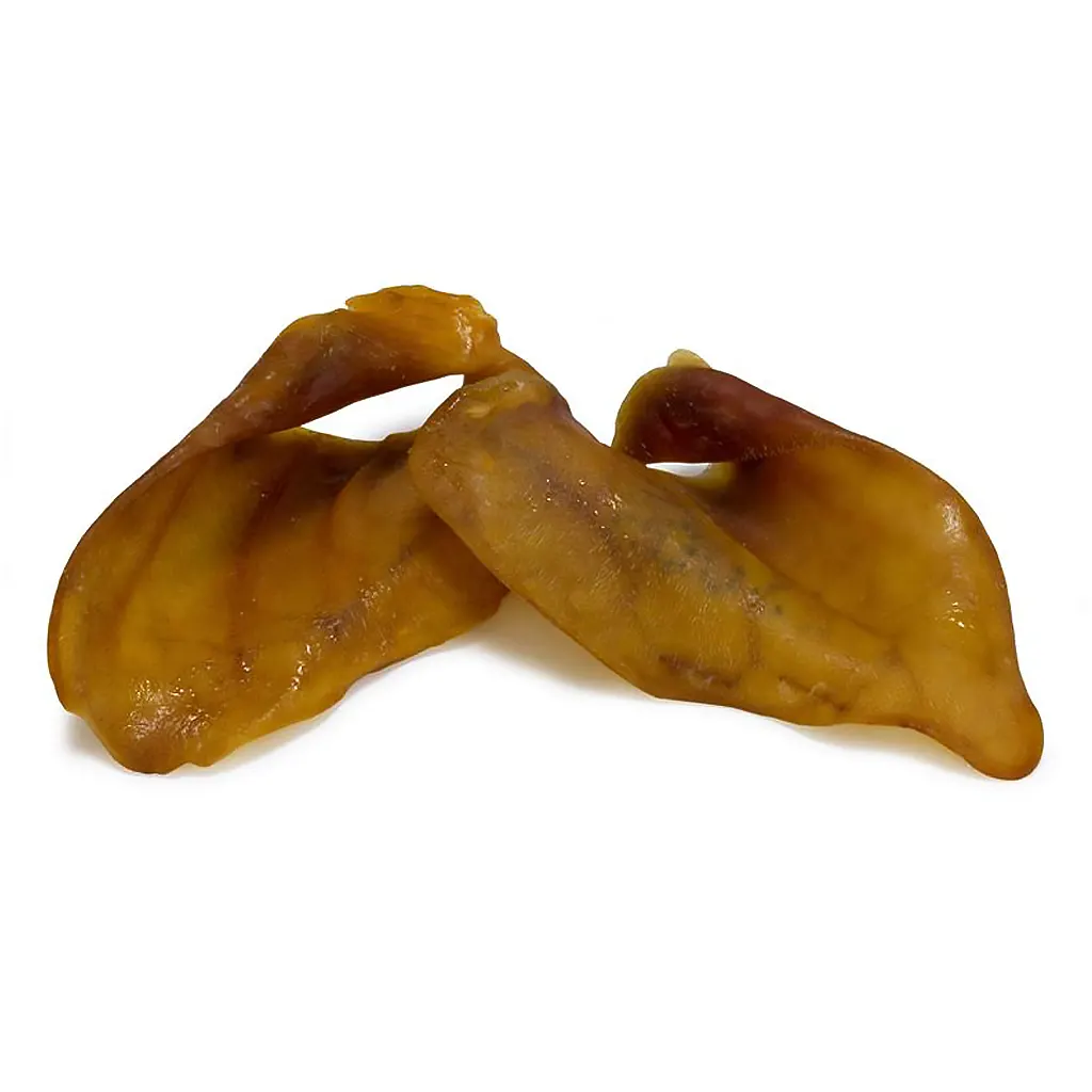 Muestra de oreja de cerdo Arquivet