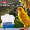 Medidas de la Jaula para Canarios Pedros Geminis