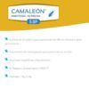 Resultado después de usar Bioplagen Camaleon Insecticida