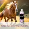 Caballo con pelaje brillante y saludable corriendo. Delante del caballo una botella de champú con biotina chemical para caballos