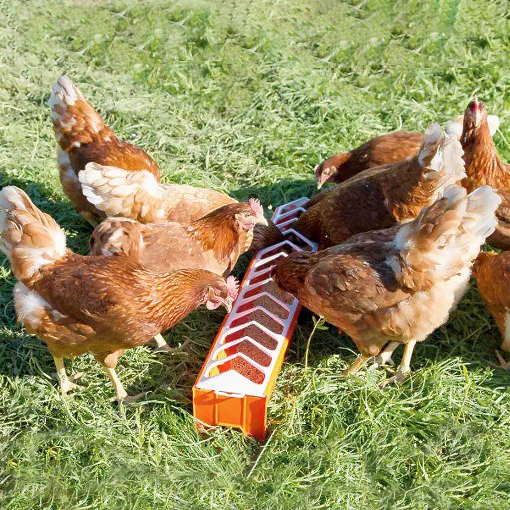 Comedero para Pollos 75cm Novi - Imagen 2