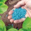 Abono Universal para Plantas Azul Batlle 800g - Imagen 3