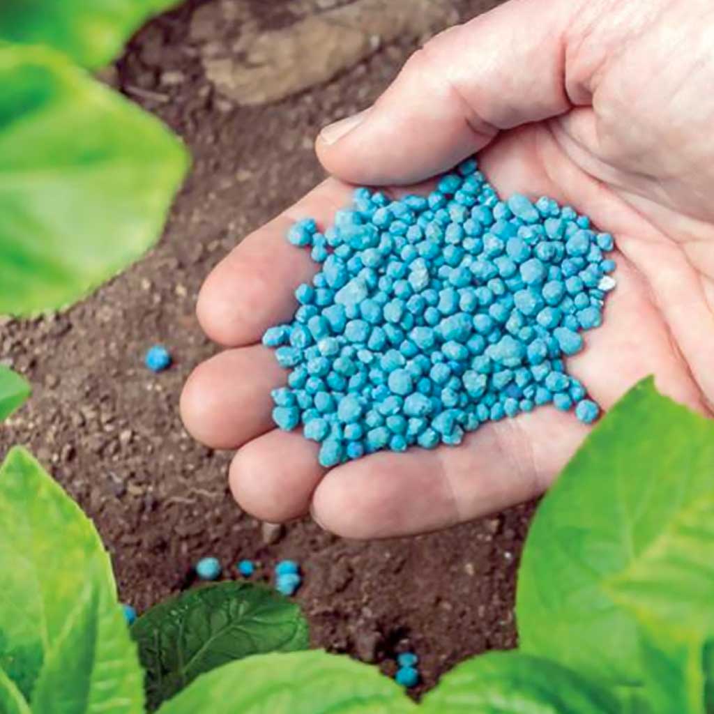 Abono Universal para Plantas Azul Batlle 800g - Imagen 3