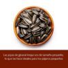 Las pipas de girasol Irequi sos de tamaño pequeño, lo que las hace ideales para los pájaros pequeños