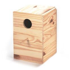 Caja Nido para Ninfas y Cotorras Arquivet, tipo vertical con medidas 20x20x30cm