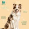 Colonia Menforsan con Vainilla y Naranja para Perros 125ml - Imagen 4