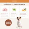 Nature's Variety Adult Mini Healthy Grain Pavo, Pienso Para Perros 1,5kg - Imagen 2