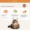 Pienso Nature's Variety Gatos Esterilizados Healthy Grains Adult Salmón - Imagen 2